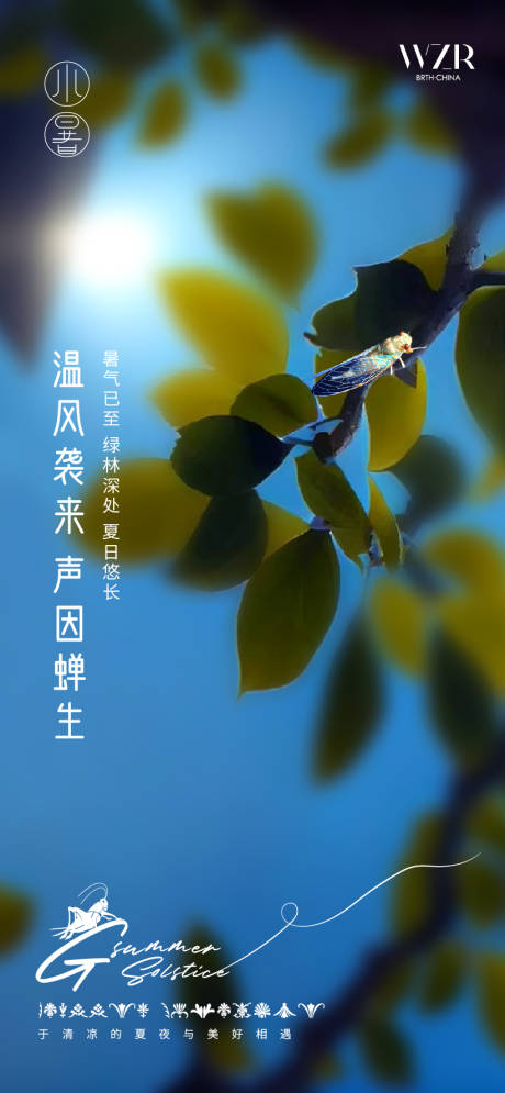 源文件下載【小暑海報】編號：15730017762021710
