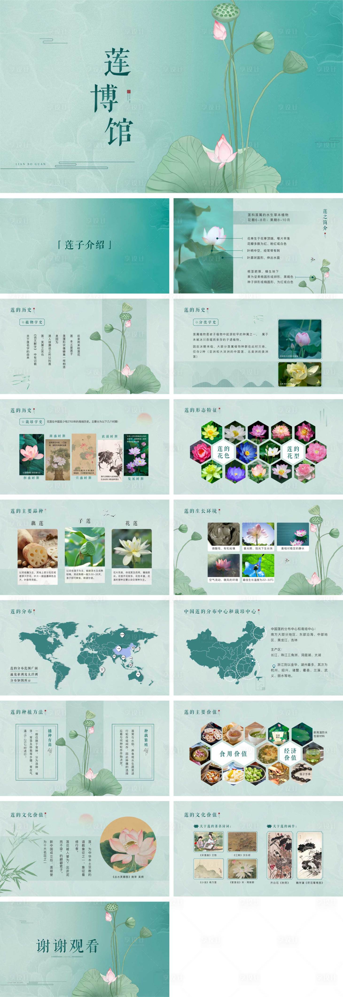 编号：20230707161910295【享设计】源文件下载-莲的古风荷花中医药材简介PPT