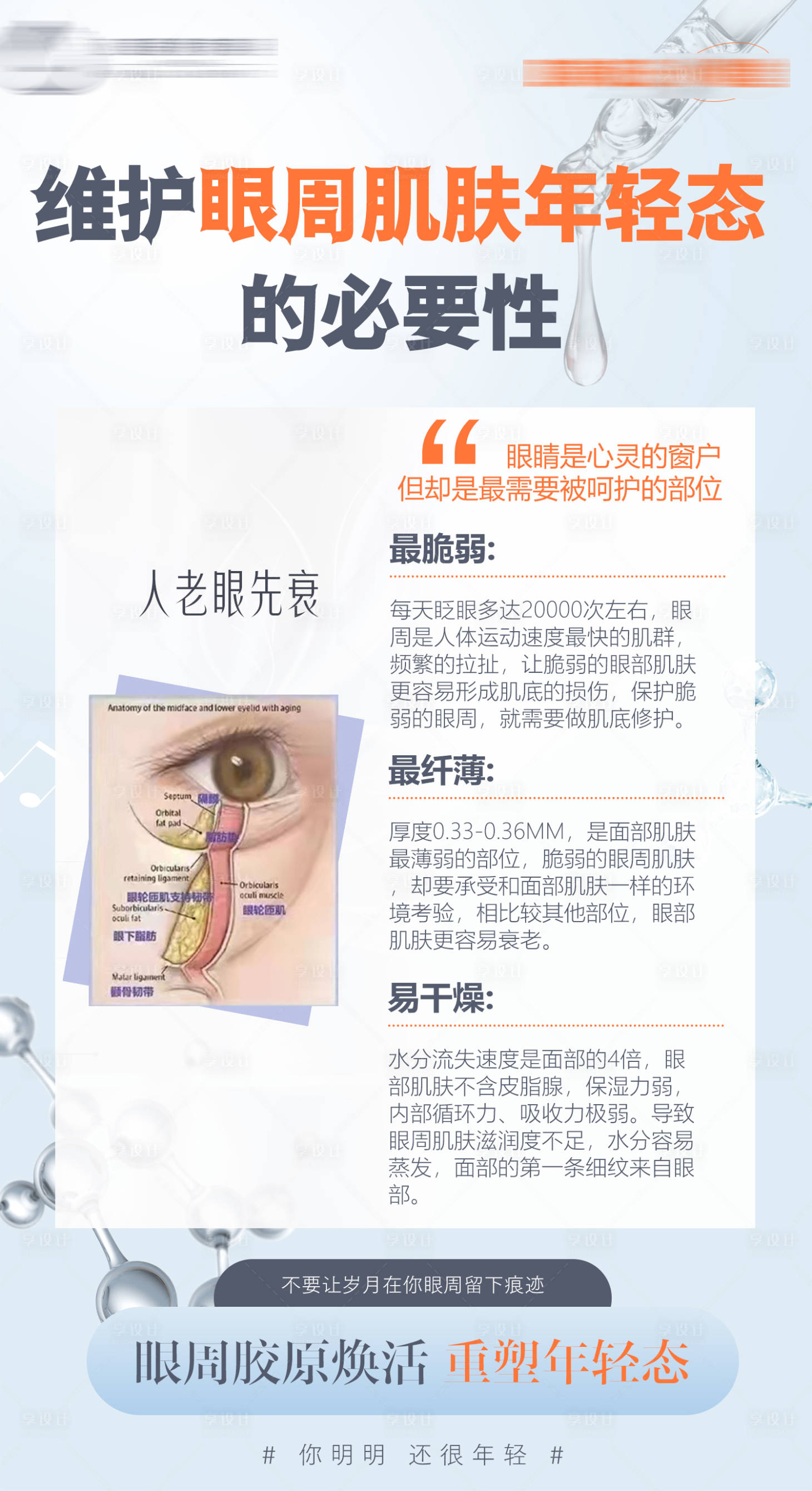 源文件下载【享设计】搜索编号：43430018205384067【眼周抗衰科普海报】