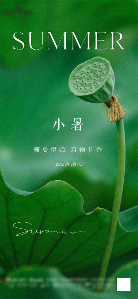 源文件下载【小暑节气海报】编号：13580017848217800