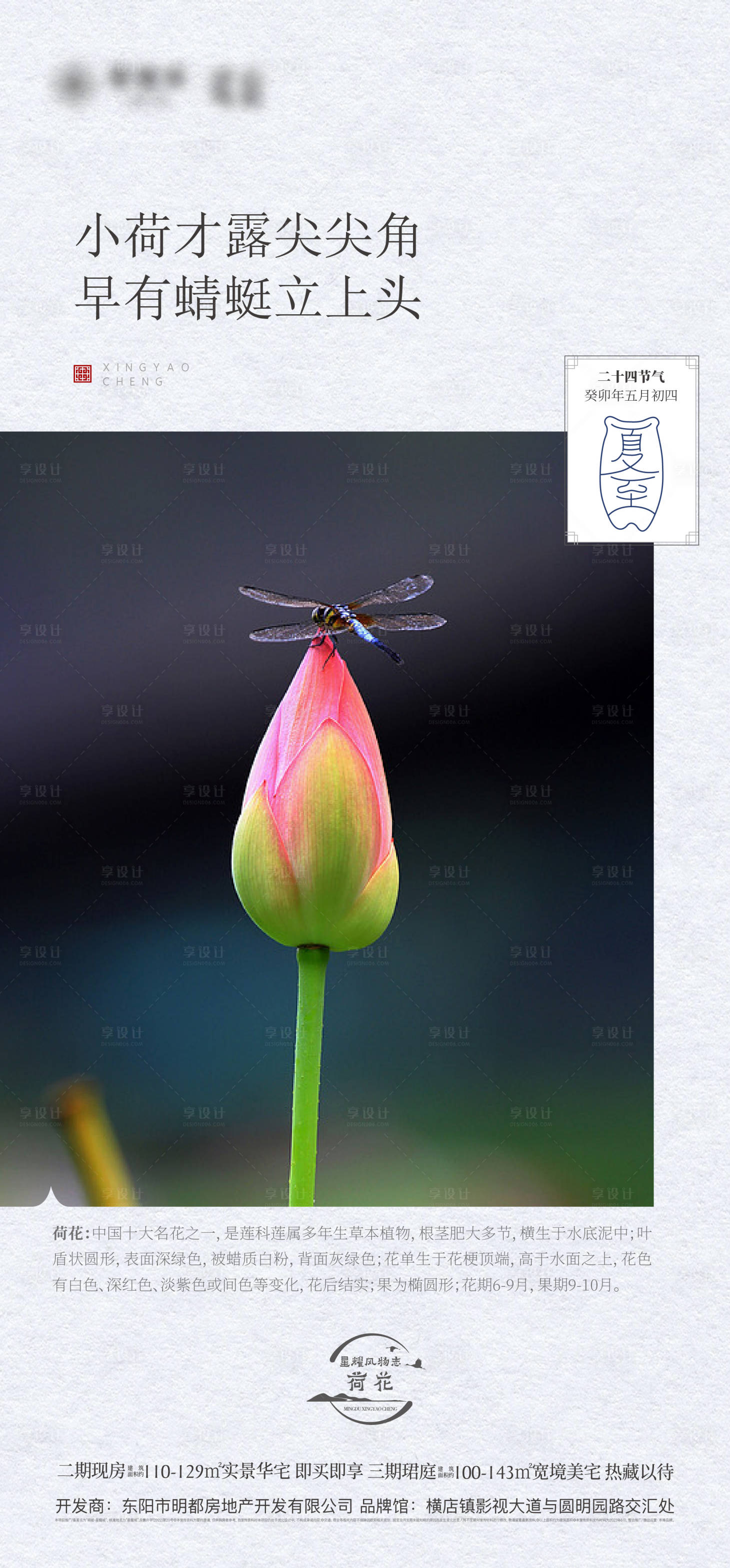 源文件下载【夏至节气海报 】编号：98220018297738326
