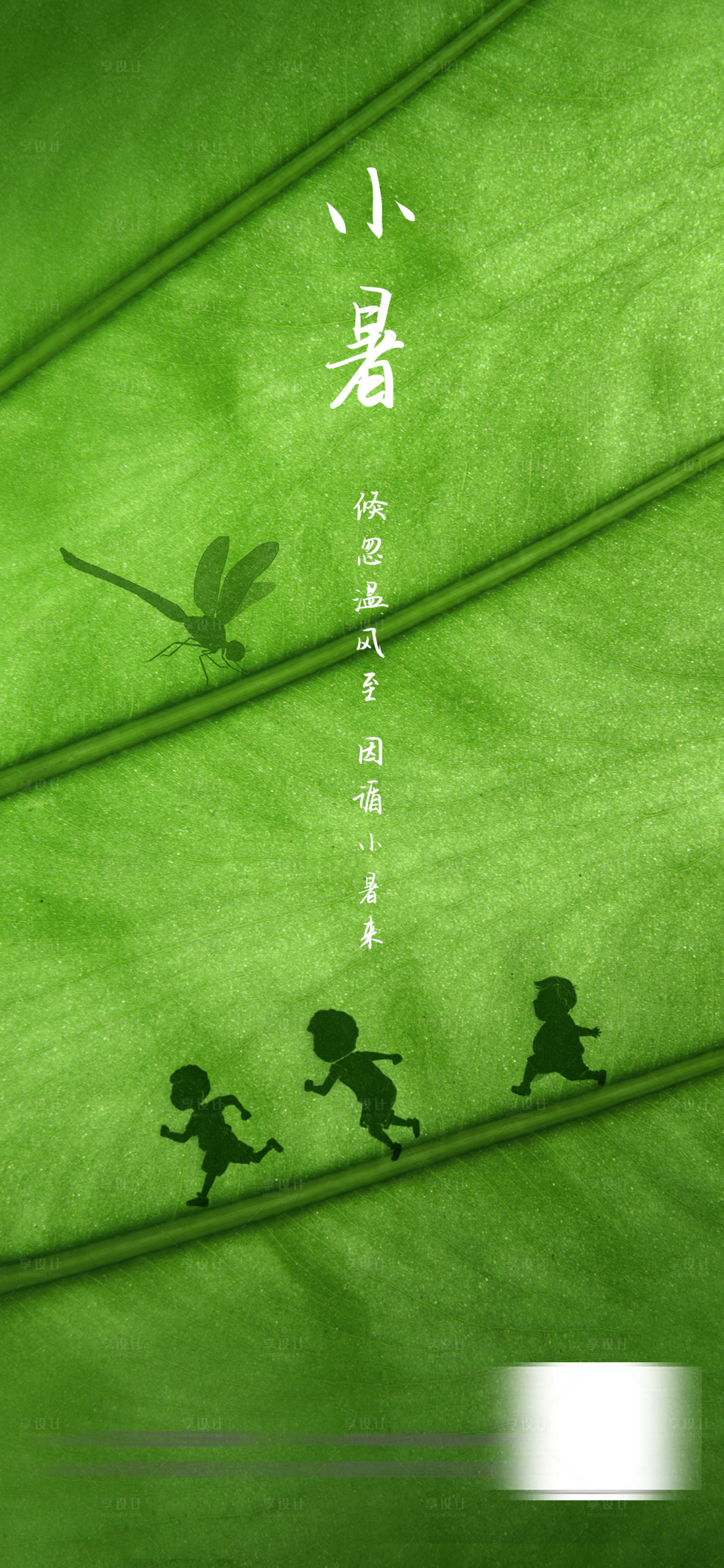 源文件下載【小暑海報】編號：67430017805618162