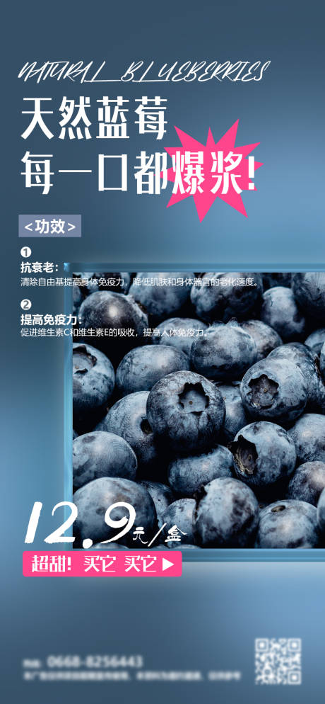 蓝莓简约海报