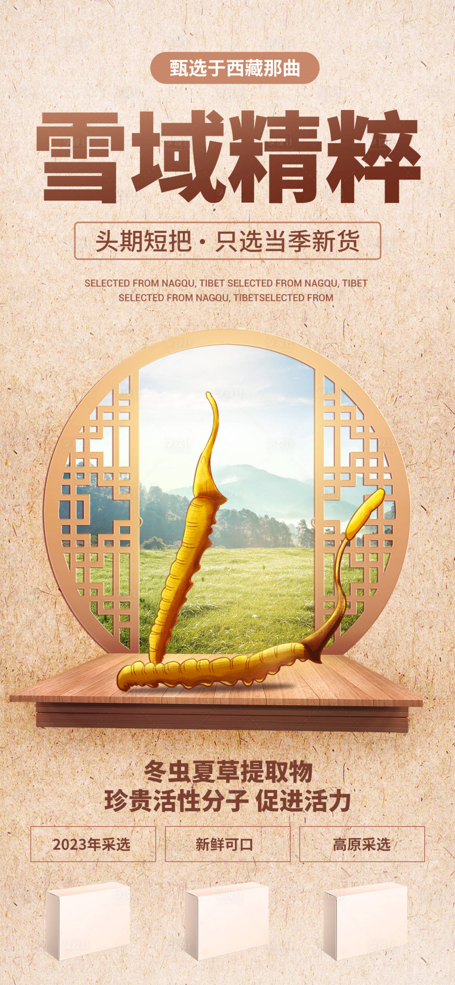 源文件下载【享设计】搜索编号：19060018336738625【冬虫夏草海报】