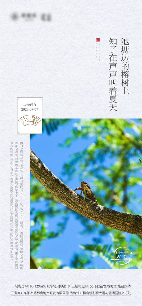 源文件下载【小暑节气海报】编号：35410018297783299