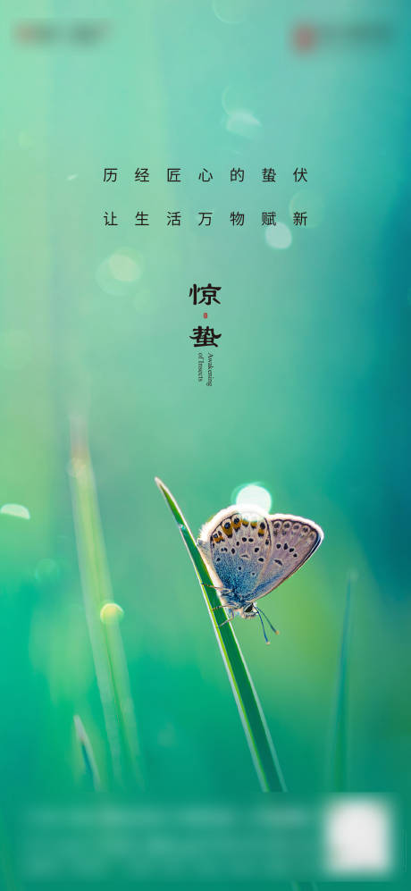 源文件下载【惊蛰节气海报 】编号：58150018323942862
