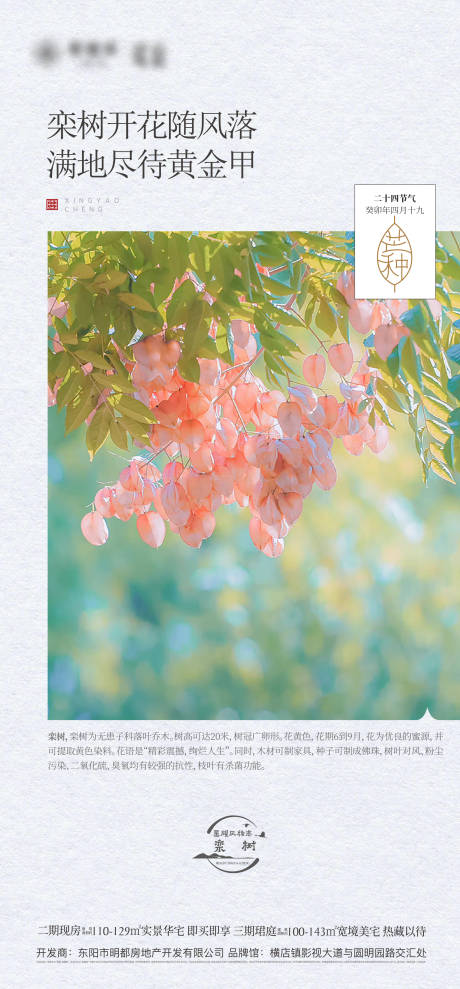 源文件下载【享设计】搜索编号：84820018297696479【芒种节气海报】