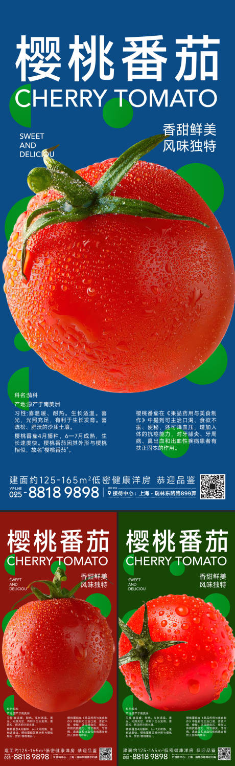 编号：20230718134211672【享设计】源文件下载-樱桃番茄海报