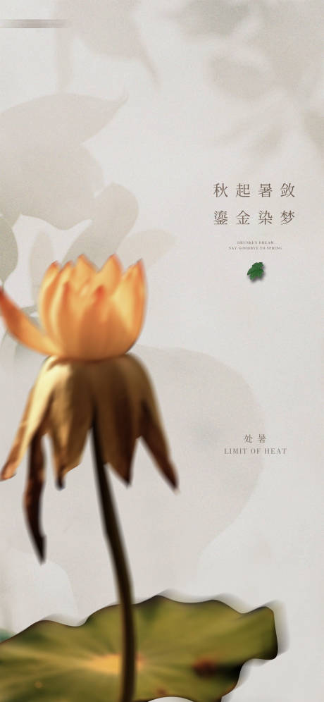 源文件下载【处暑节气刷屏海报】编号：22100018128129606