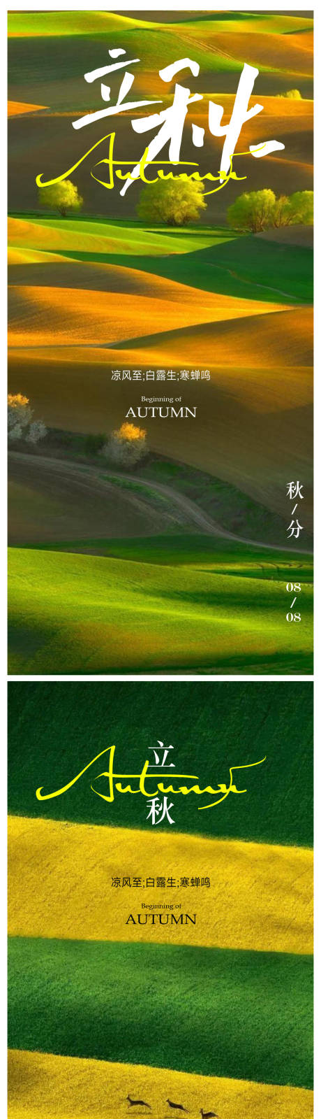 源文件下载【立秋海报 】编号：91050018245509381