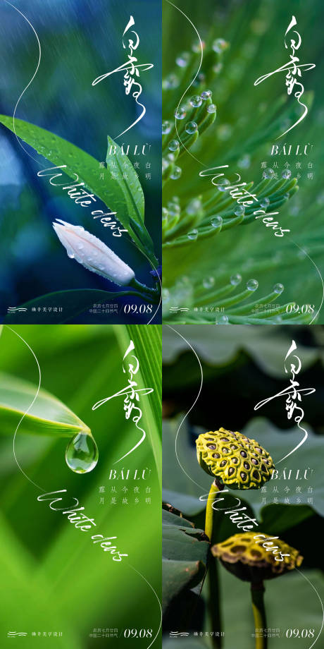 源文件下载【白露节气海报】编号：56810018912169675