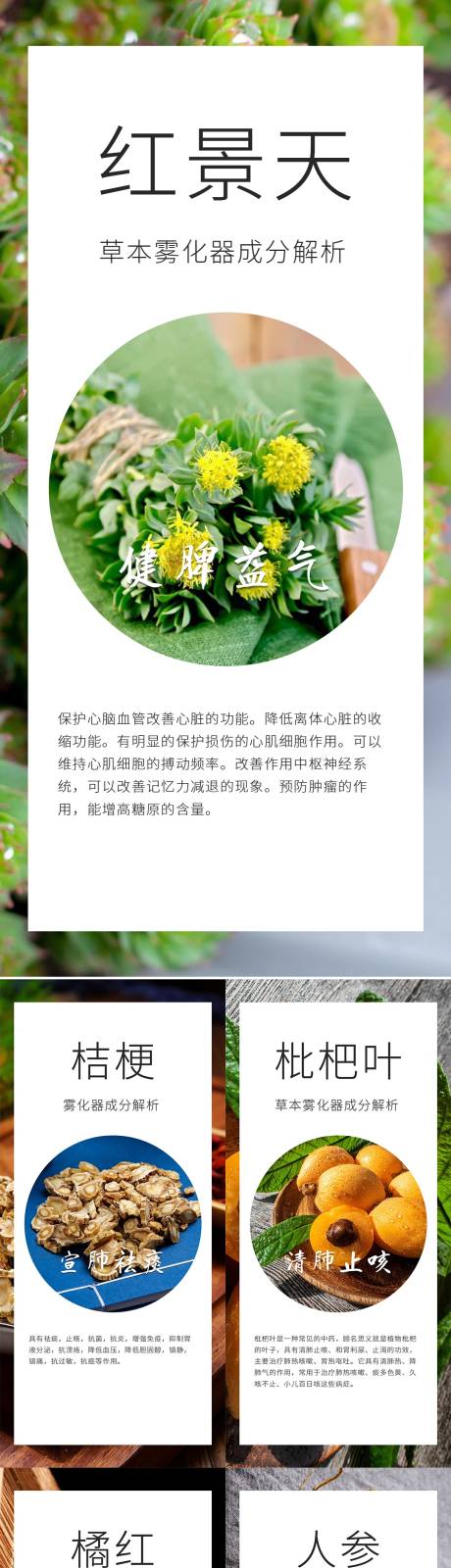 源文件下载【中草药雾化器成分介绍】编号：32370018511222865