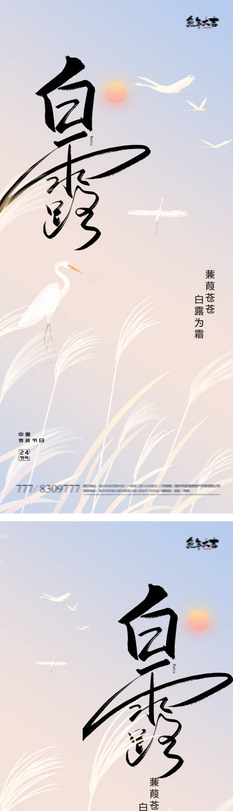源文件下载【白露寒露极简24节气蓝色海报】编号：23630018914641892
