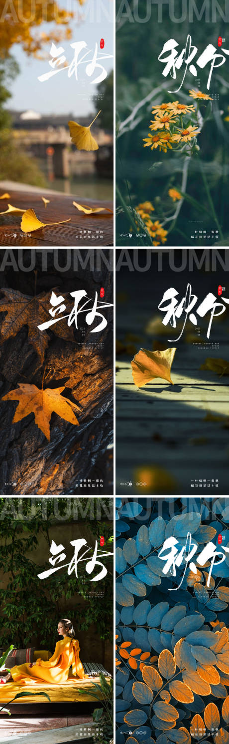 源文件下载【享设计】搜索编号：10240018475055073【立秋秋分24节气树叶风景银杏叶海报】