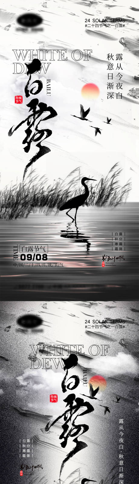 白露节气海报