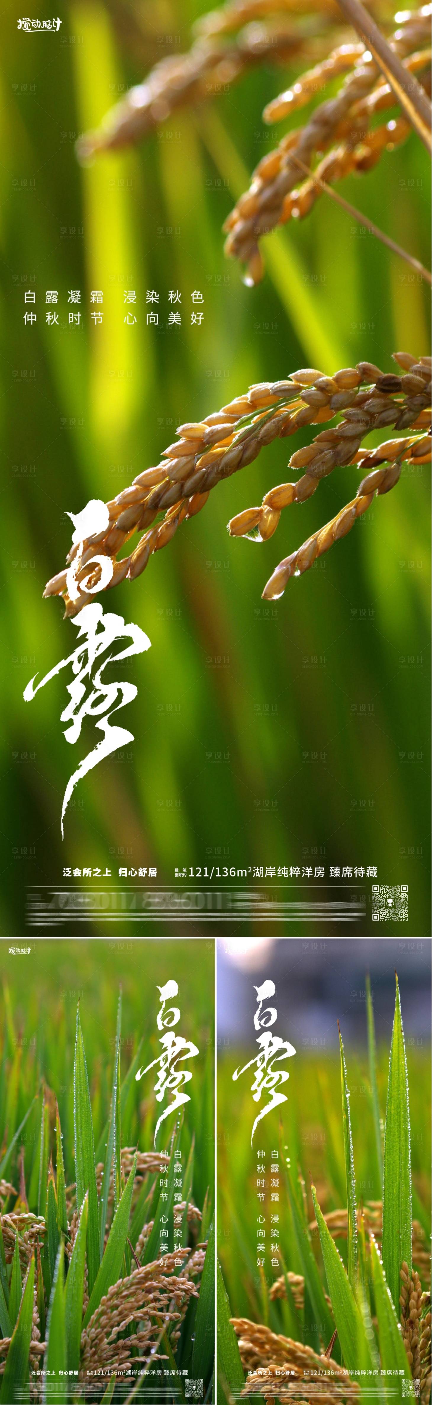 源文件下載【享設計】搜索編號：71440018857334342【白露節氣海報】