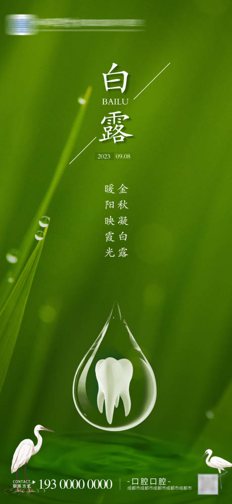 源文件下载【口腔白露海报】编号：39710018543379166