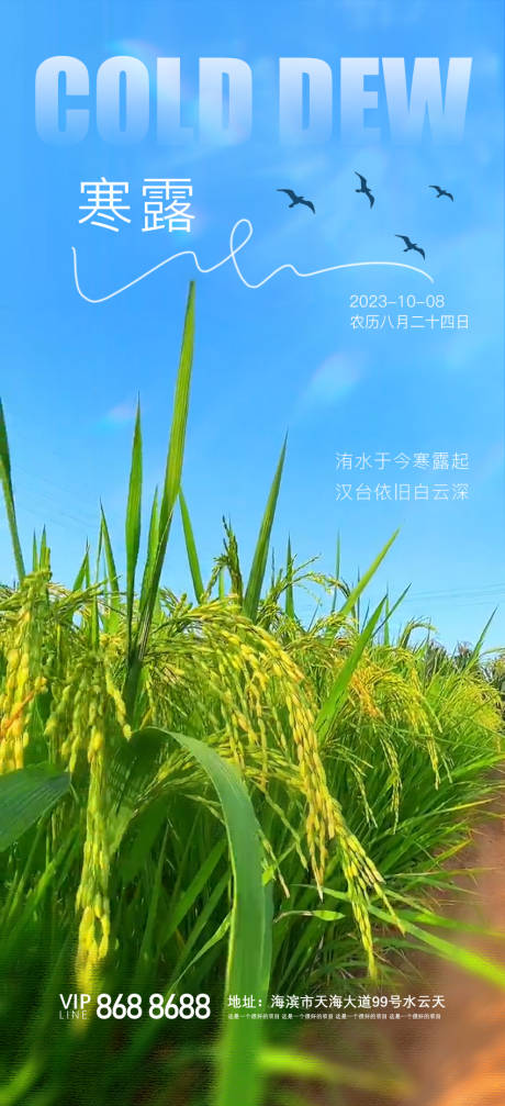 寒露节气海报