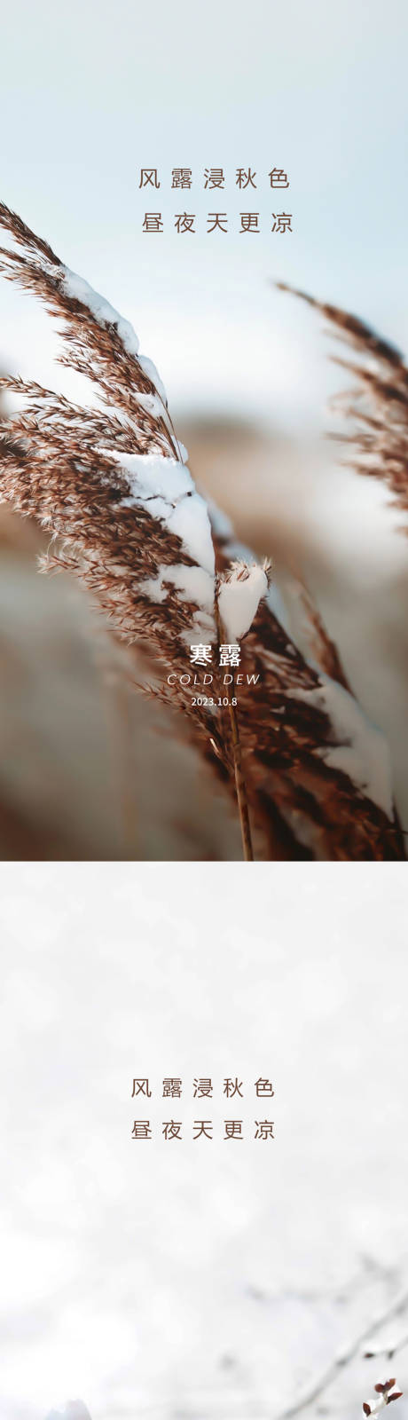 源文件下載【寒露節氣海報】編號：42240019028007571