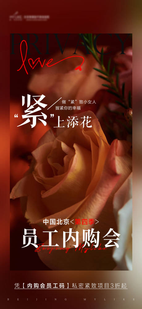 源文件下載【私密海報】編號：21650018903266439