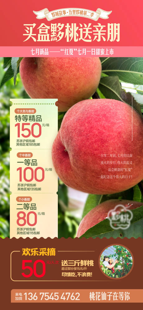 源文件下载【桃子上市海报】编号：97920018699611952