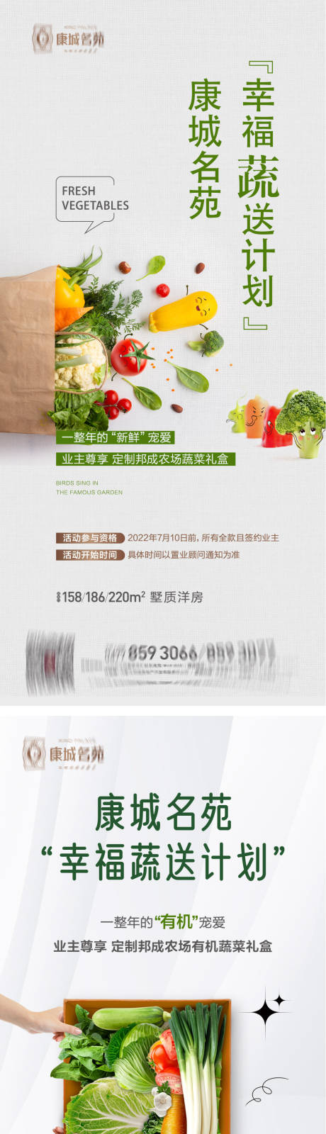 编号：20230801160117667【享设计】源文件下载-蔬菜海报