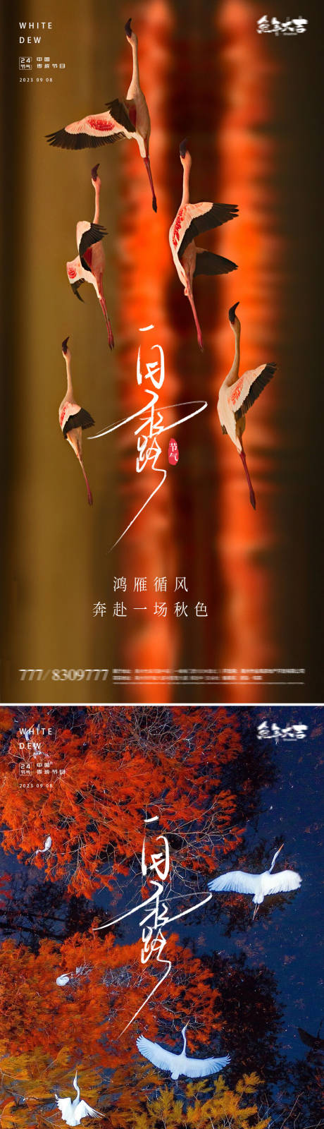 源文件下载【白露节气海报】编号：72630018915033323