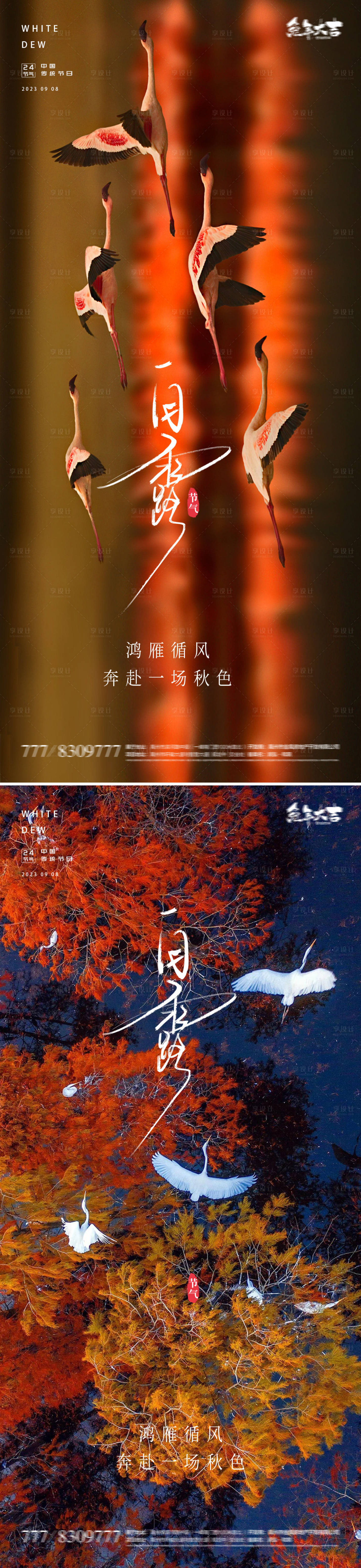 源文件下载【白露节气海报】编号：72630018915033323