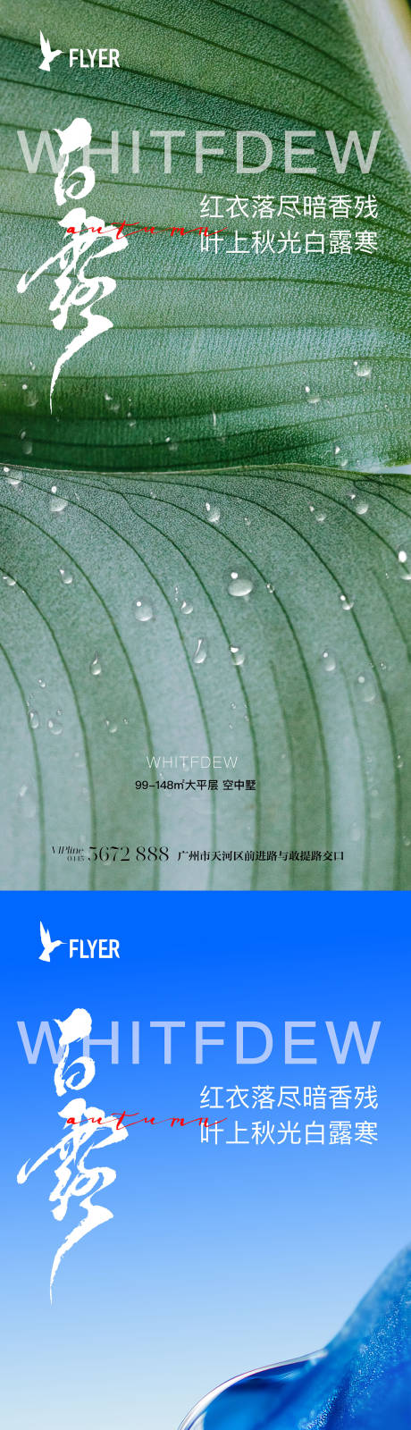 源文件下载【白露海报】编号：28950018946807788