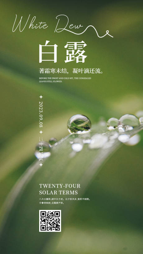 源文件下载【白露节气海报】编号：15890018966976370