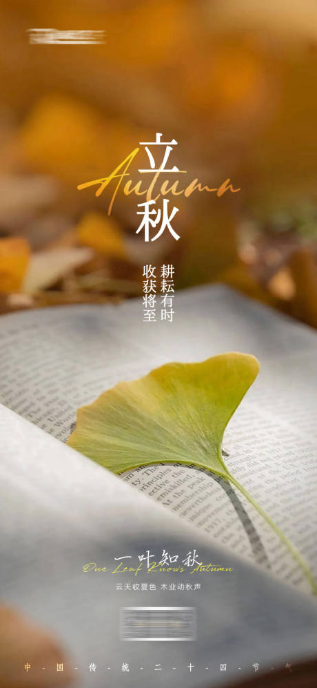 源文件下载【立秋节气海报】编号：62750018512648120