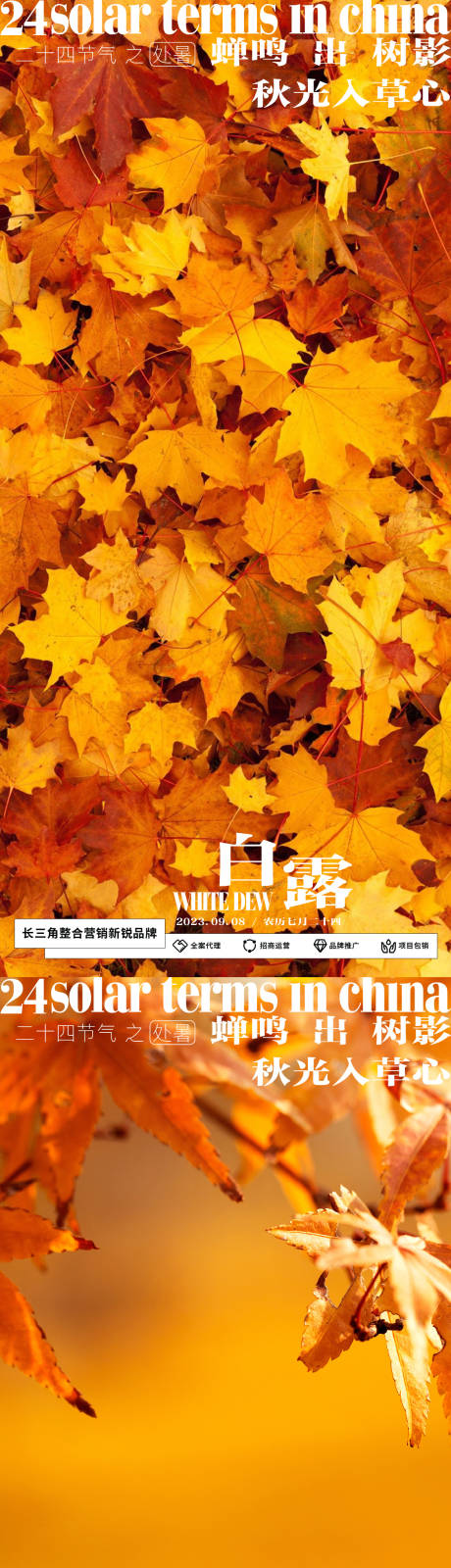 源文件下载【白露】编号：20230831095407124