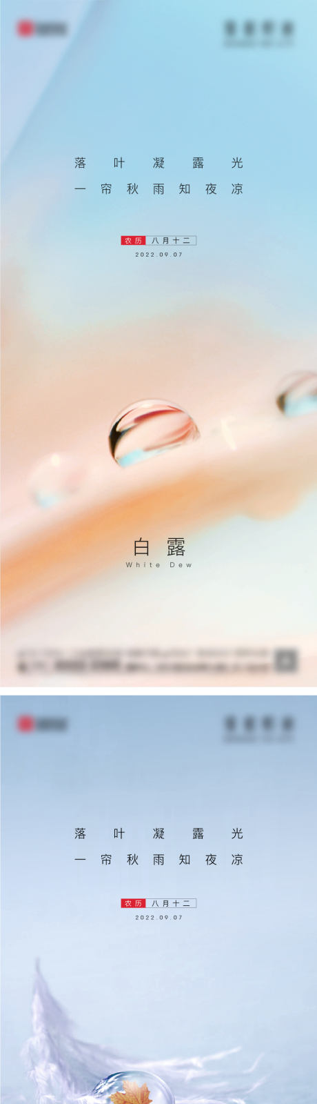 源文件下载【地产白露海报】编号：89360019070984557