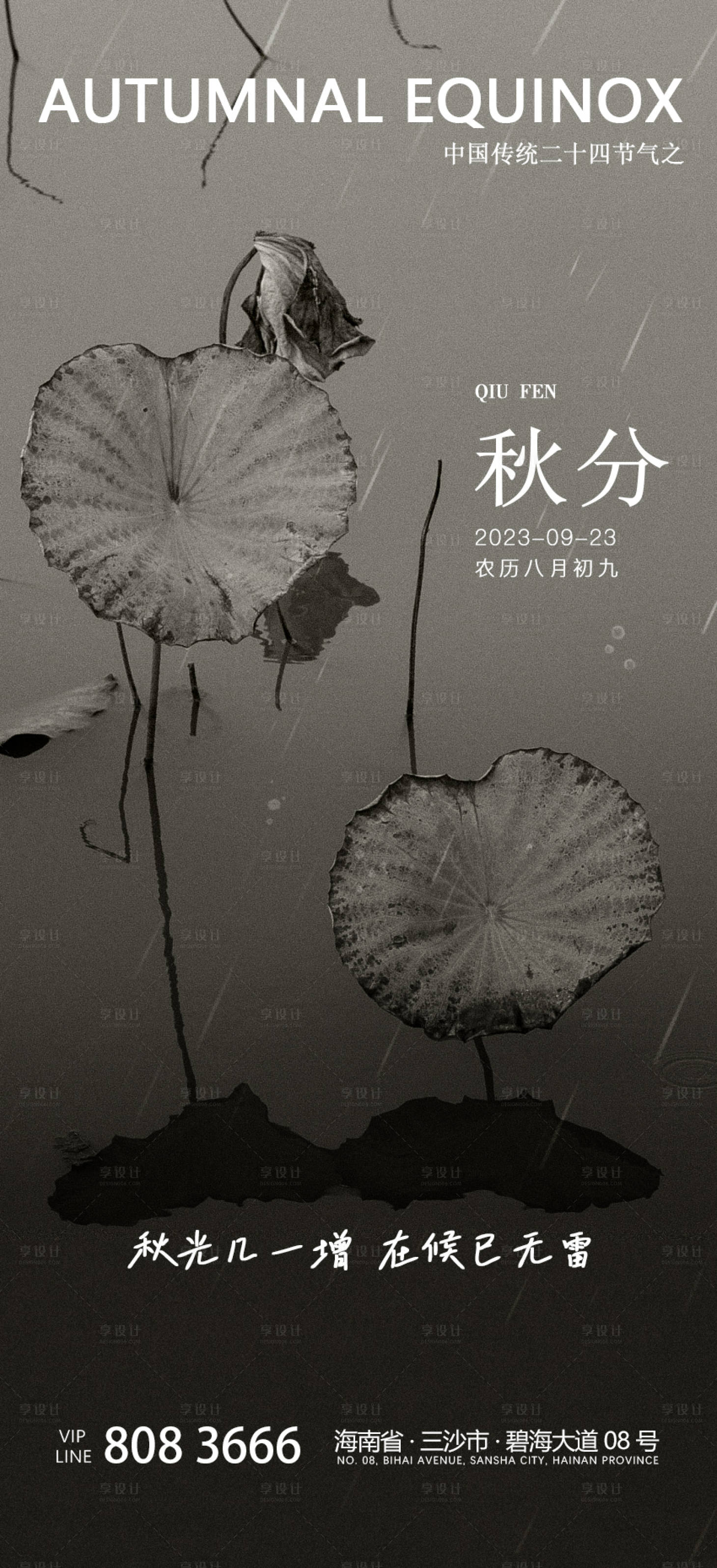 源文件下载【秋分节气海报】编号：24720018476771496