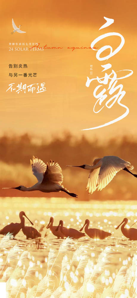 源文件下载【白露】编号：12800018837948880