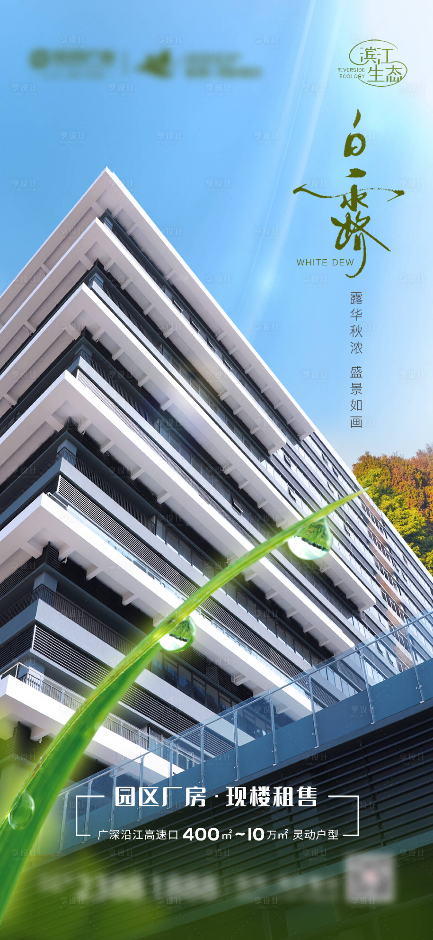 源文件下载【地产白露海报】编号：86370018593775979