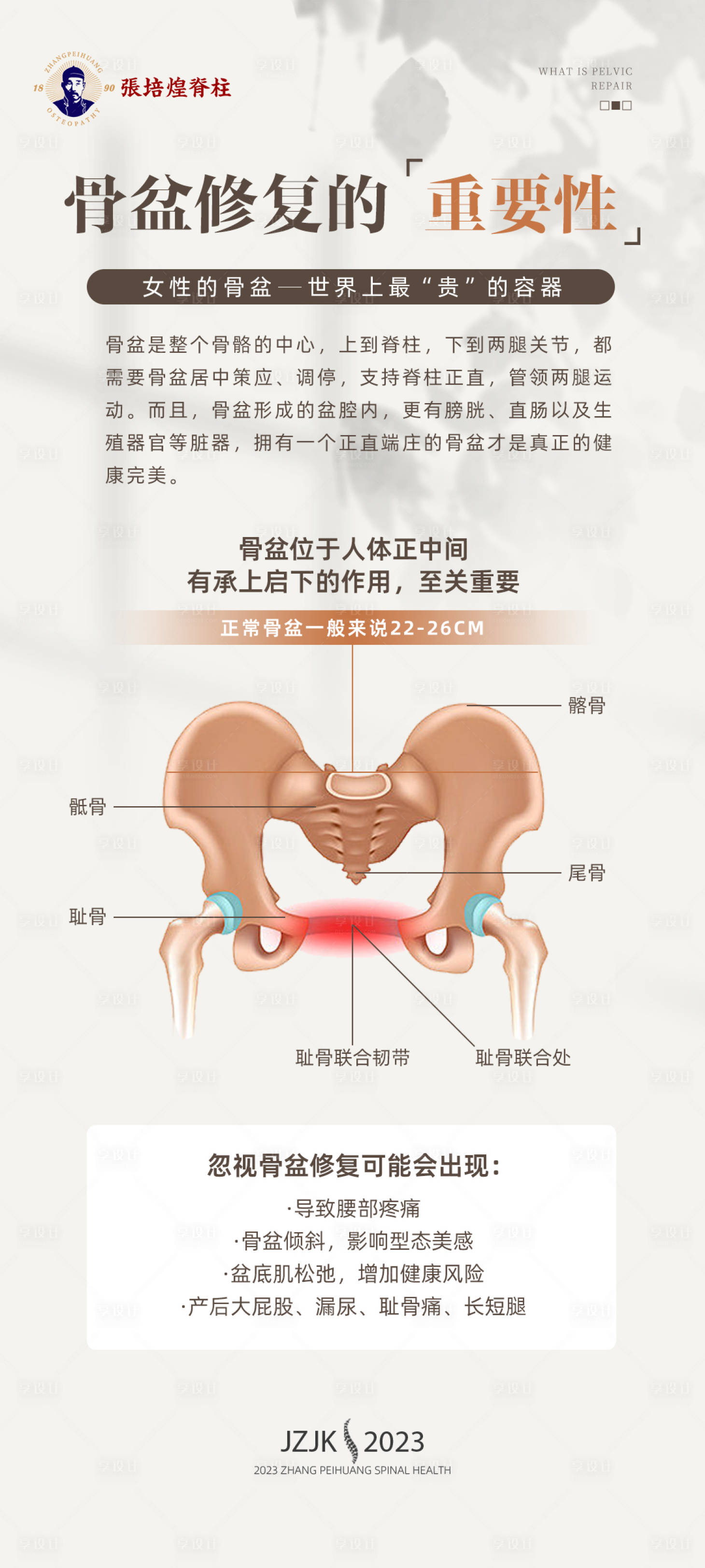 源文件下載【享設計】搜索編號：61810018641056352【脊柱骨盆簡約海報】