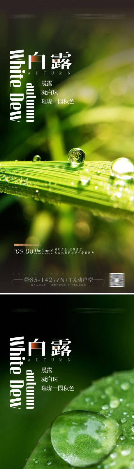 源文件下载【白露海报】编号：87640018823549228