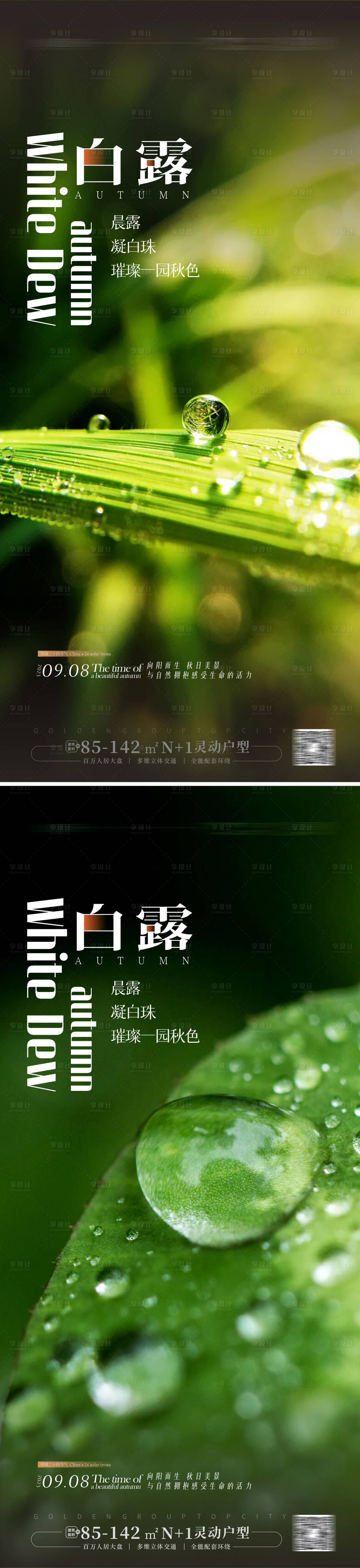 源文件下载【白露海报】编号：87640018823549228