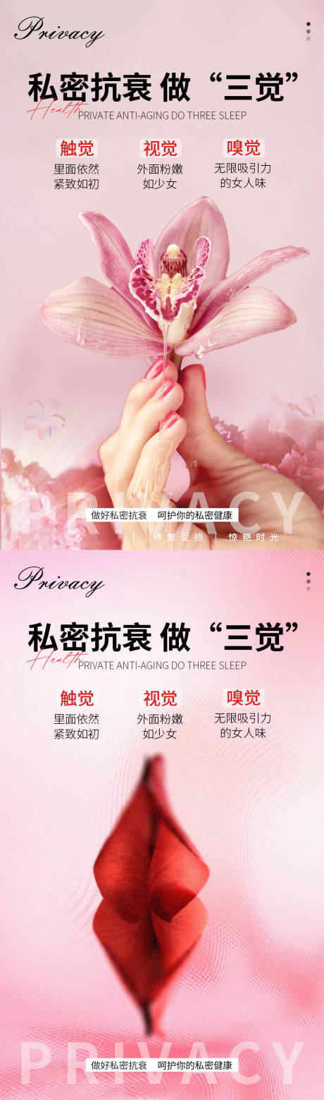 源文件下载【私密抗衰系列海报】编号：43140018932541441