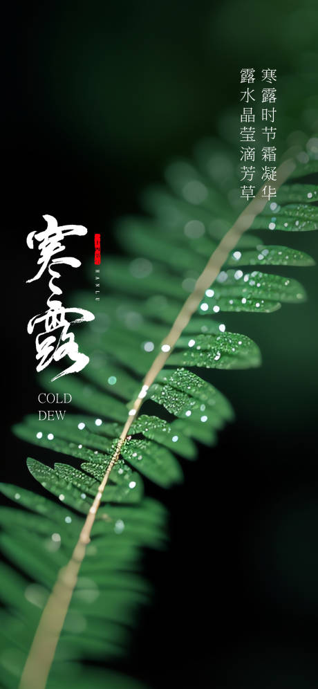 源文件下载【寒露节气海报  】编号：76920018521594000