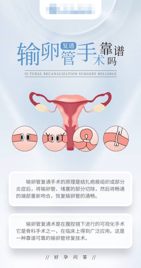 源文件下载【备孕科普海报】编号：77410018776422117