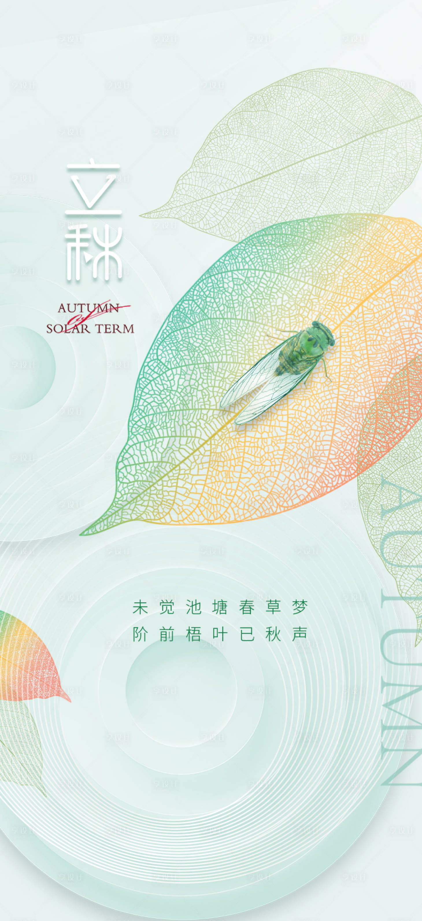 源文件下载【享设计】搜索编号：83770018458522000【立秋  】