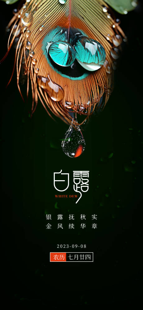 源文件下载【白露节气简约移动端海报】编号：82120019024016746