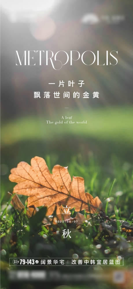 源文件下载【立秋海报】编号：28320018431498252