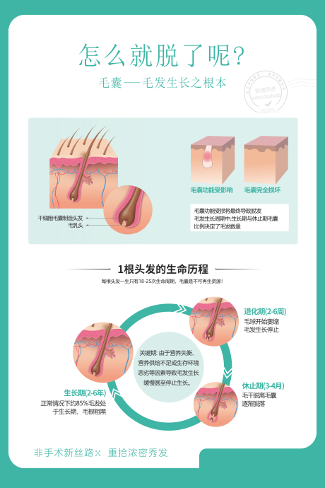 编号：20230809092644722【享设计】源文件下载-植发毛囊图宣传海报展板