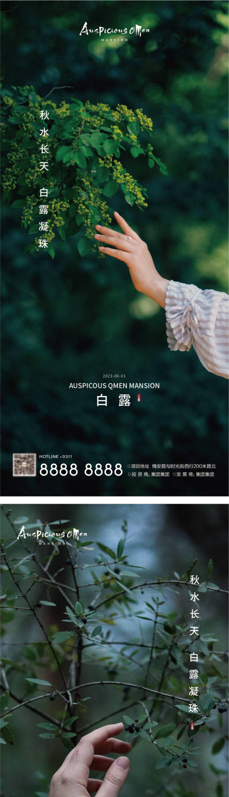 源文件下载【白露节气海报】编号：11750018991637761