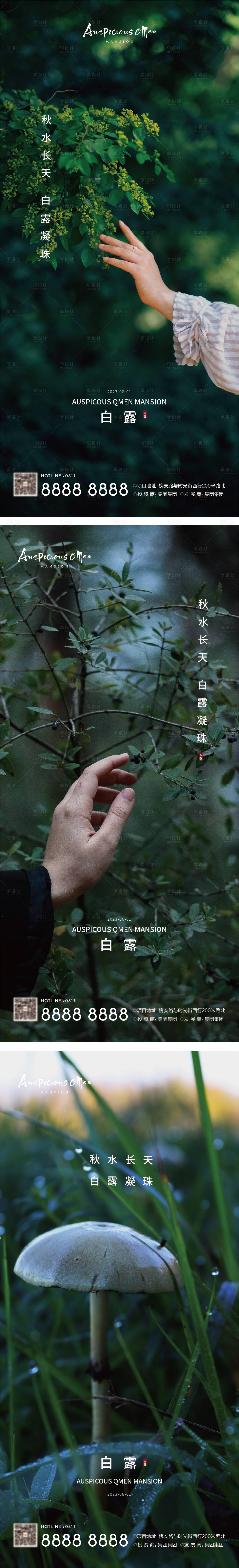 源文件下载【白露节气海报】编号：11750018991637761
