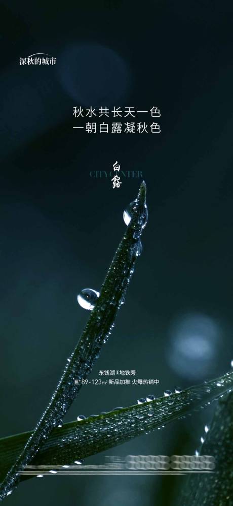 源文件下載【享設計】搜索編號：10910018959507503【白露節氣海報】