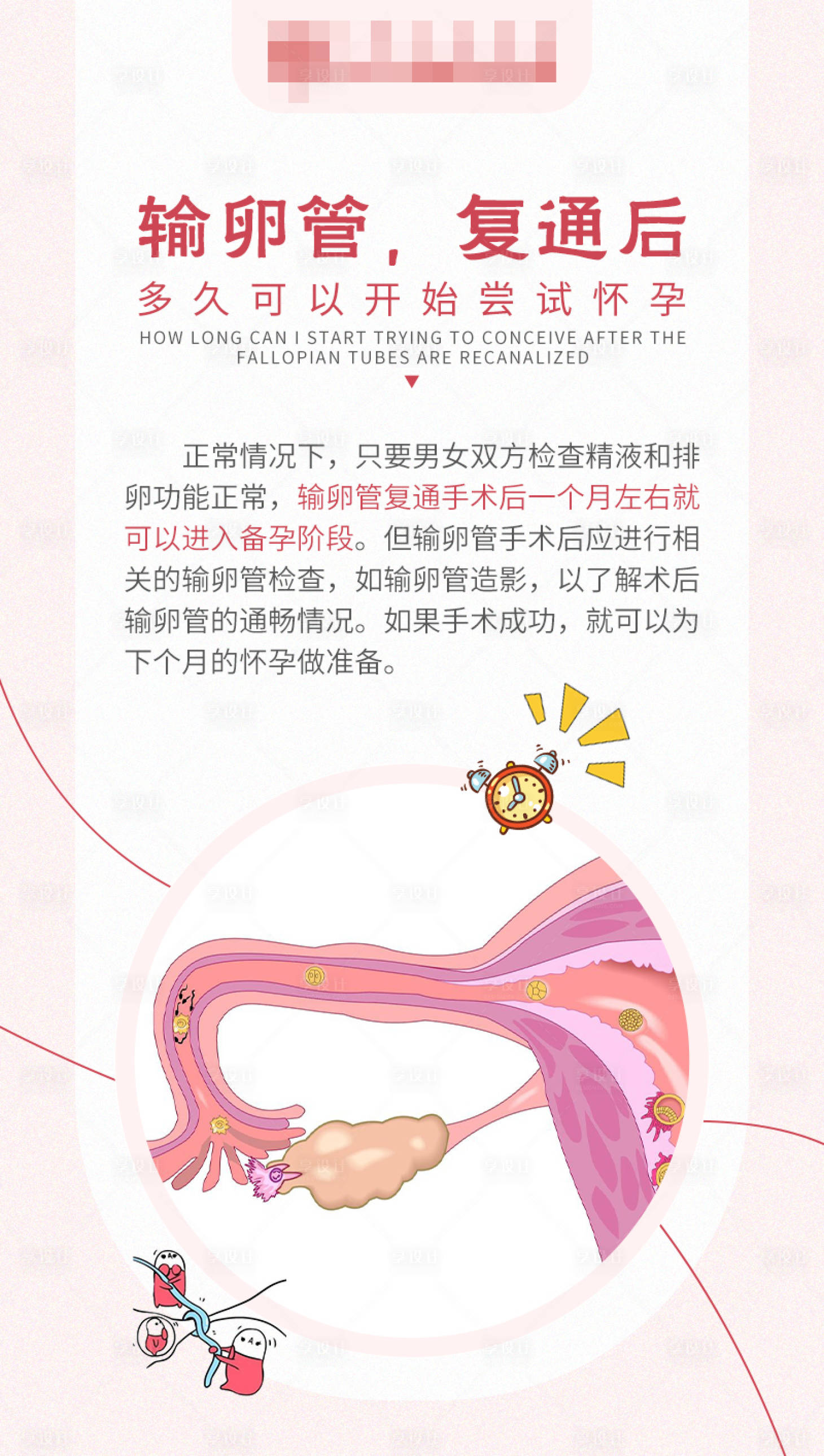 源文件下载【享设计】搜索编号：13330018776416352【输卵管复通后科普海报】